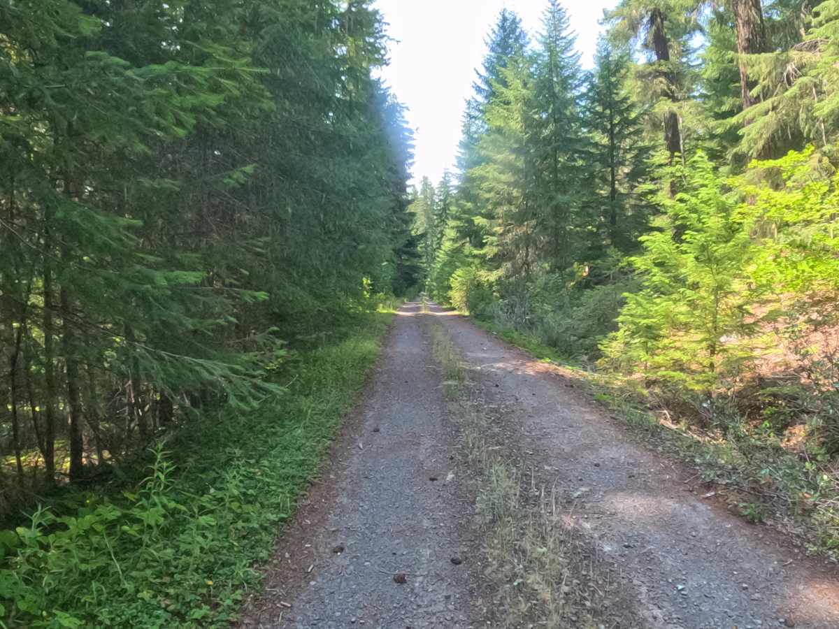 East Ofay - FS 2261405 photo 5
