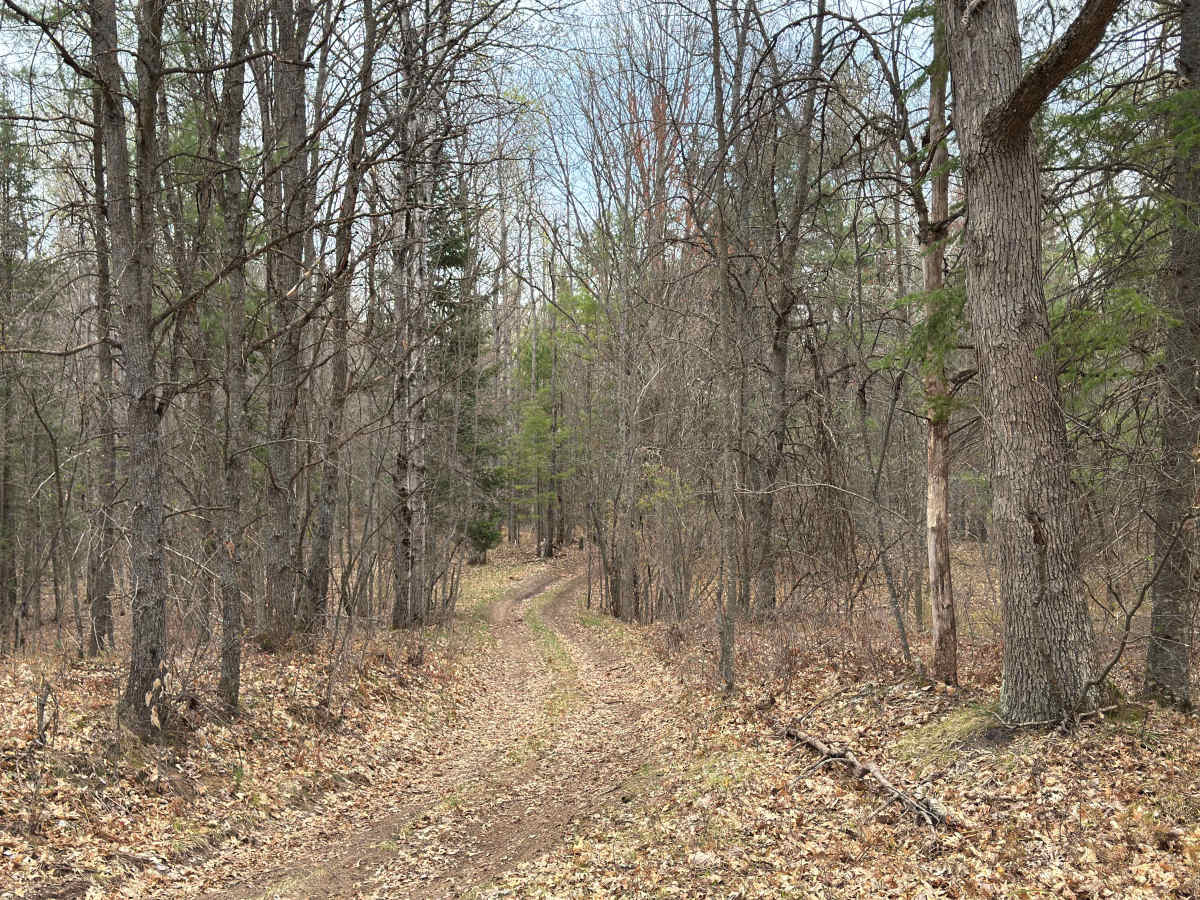Wandering Trail photo 6