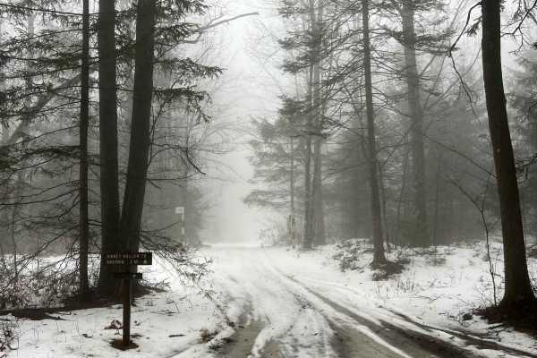 Kinney Hollow Trail