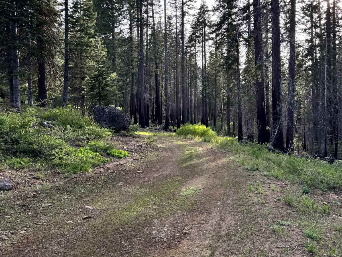 Eagle Rock - FS 27N59 photo 6