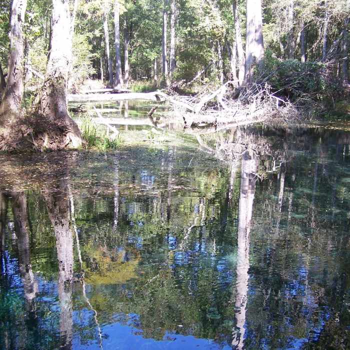 Naked Springs (Gilchrist County, FL) Near Ruth B. Kirby Gilchrist Blue Springs State Park