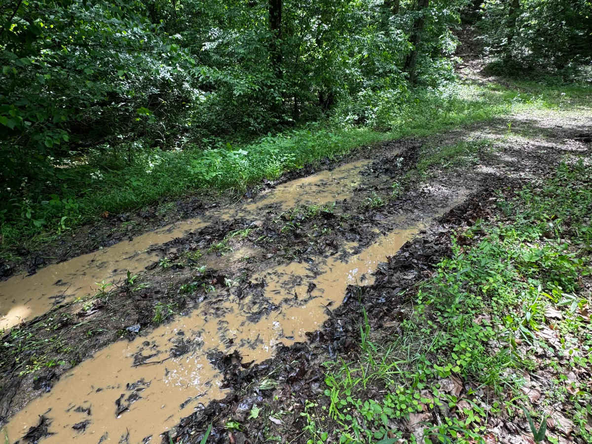 Hillside Adventure  photo 2