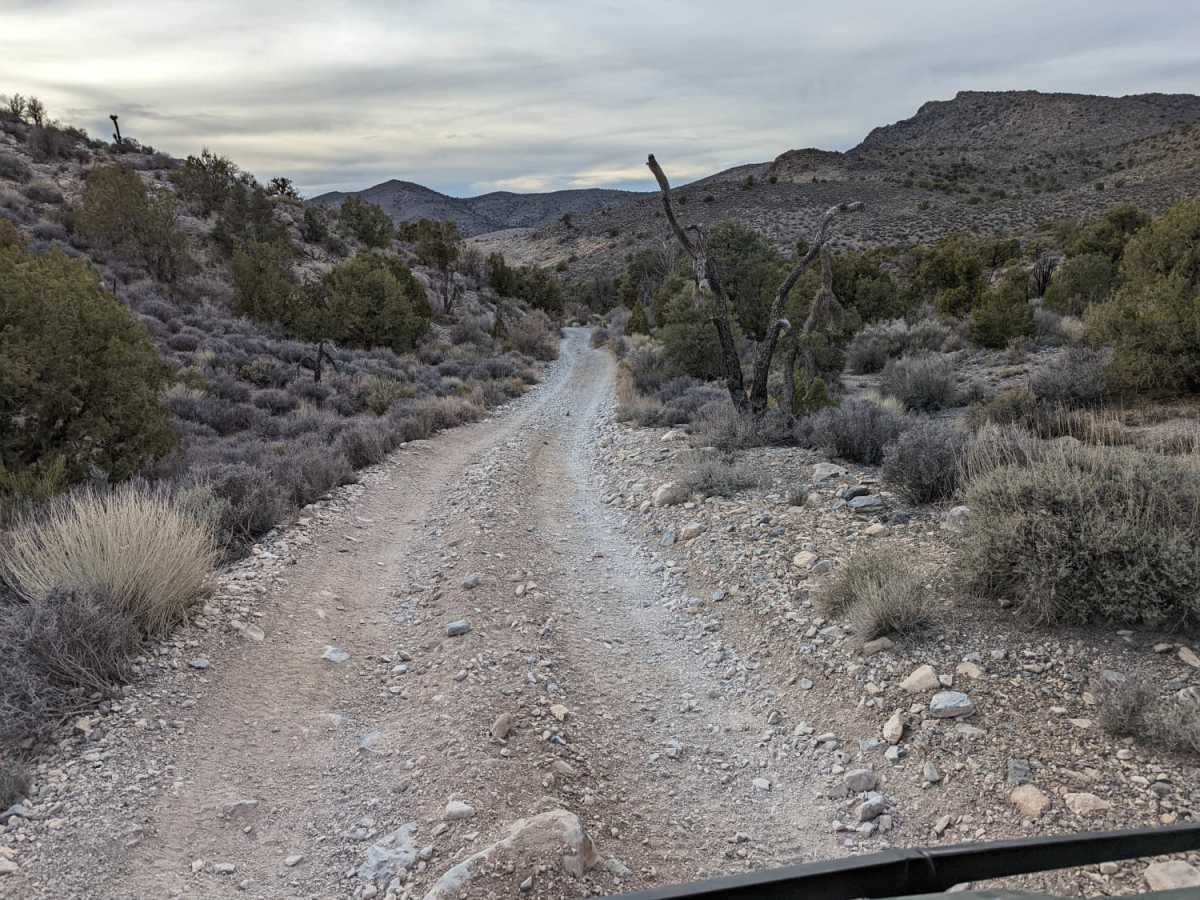 Johnswort Road photo 4