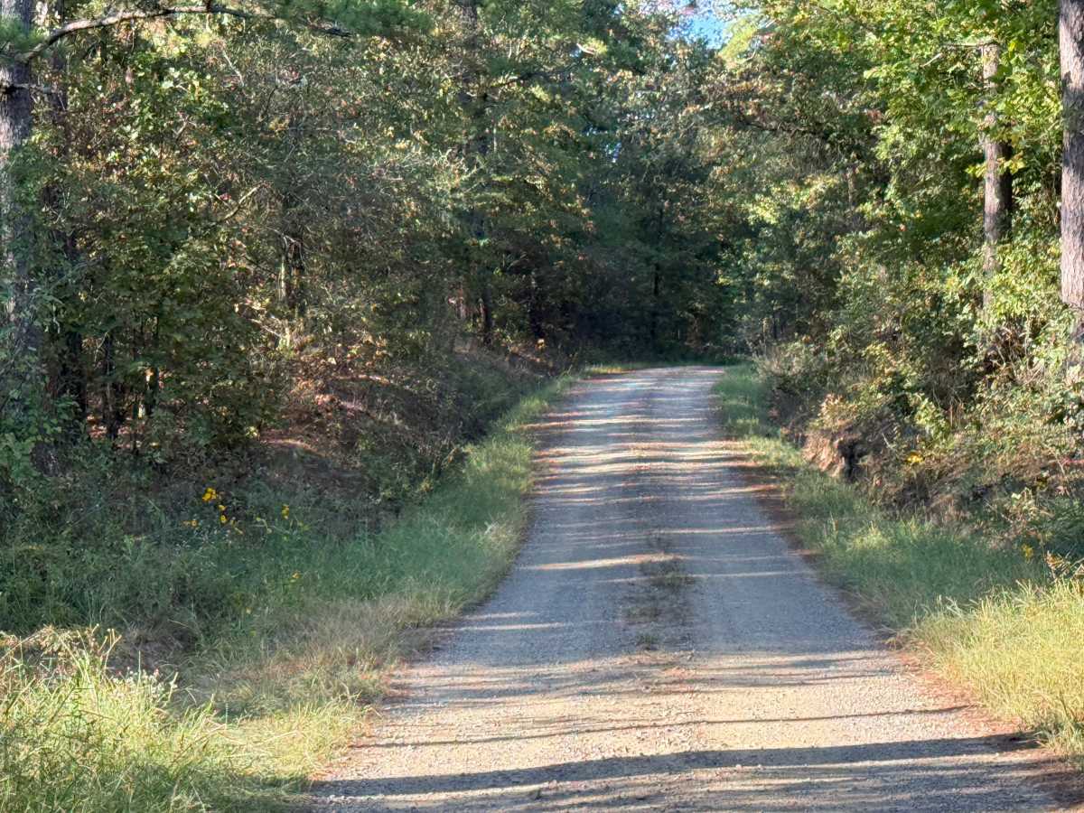 Old Waters HIghway photo 4