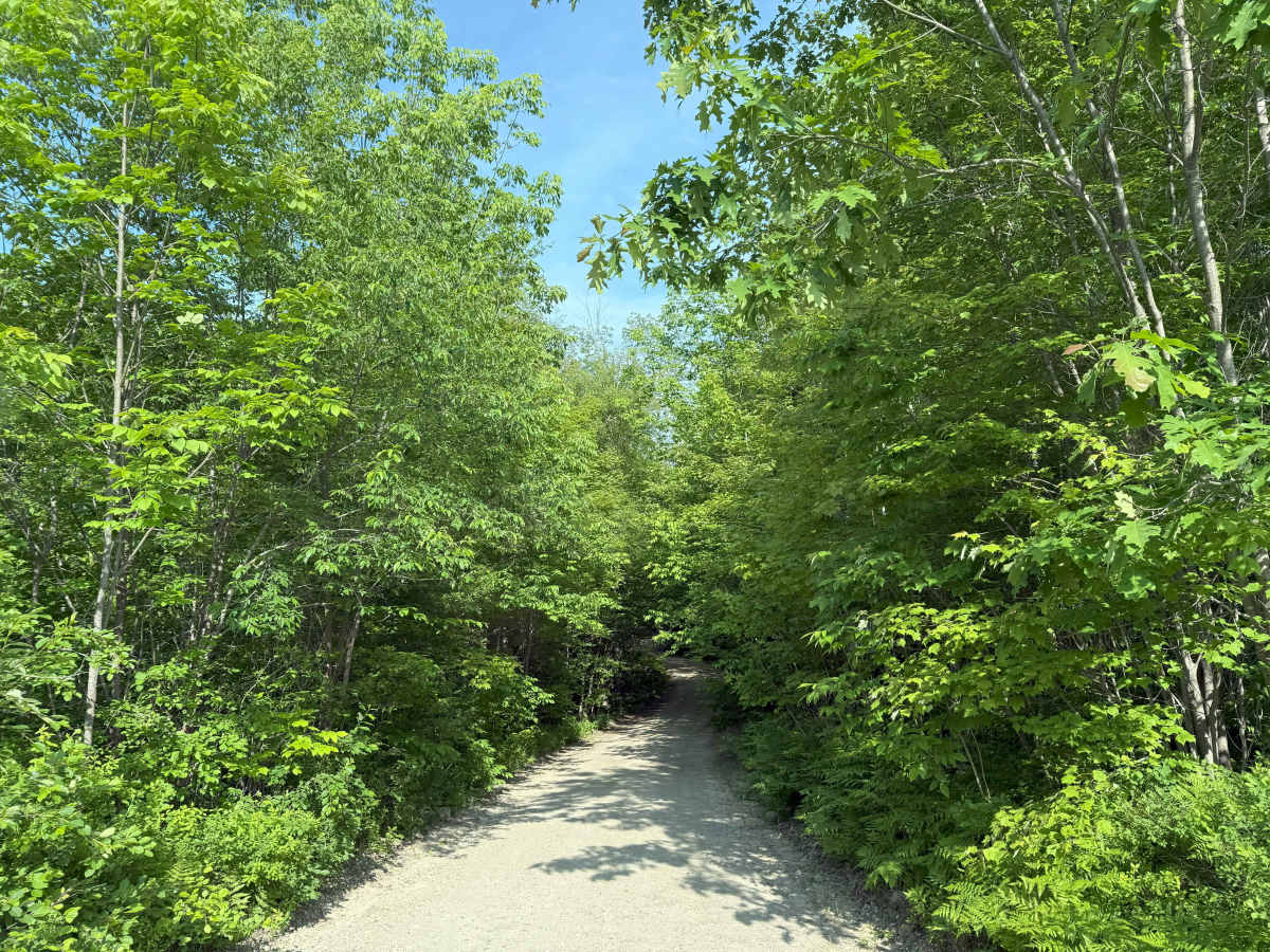 Sandwich Notch Road photo 3