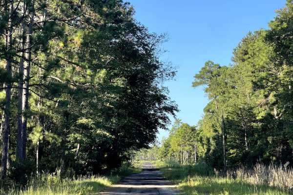West Boiling Springs Road