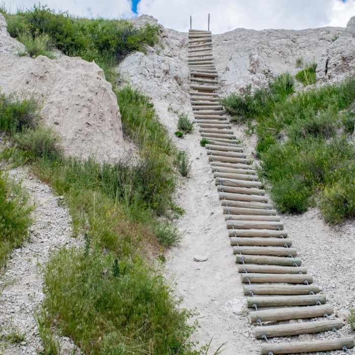 Near Notch Trail Near Notch Trail
