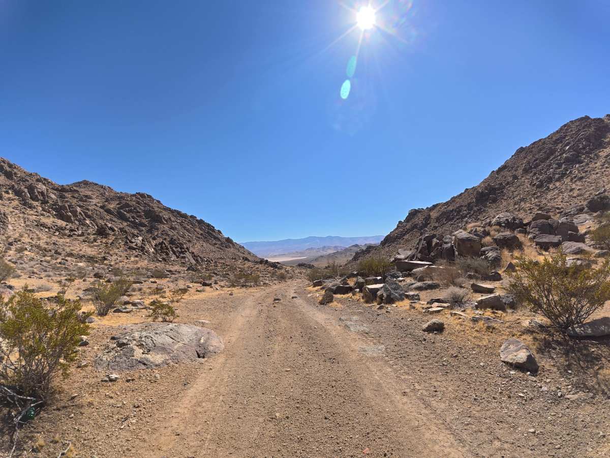 BLM SV2673 photo 3
