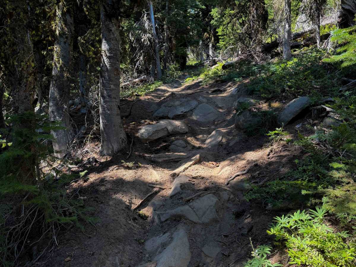 Bryan Butte - 418   trail photo