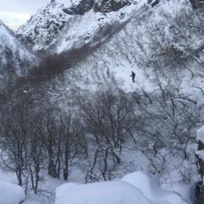 Near Bair Canyon Trail