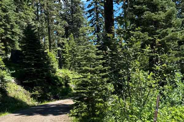 Hershberger Lookout Trail - OHV 26