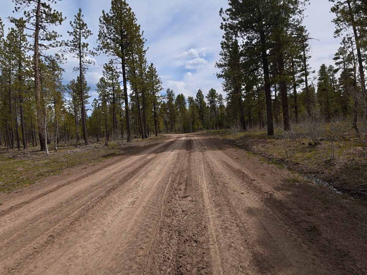 Cottonwood Road - FS 504 photo 5