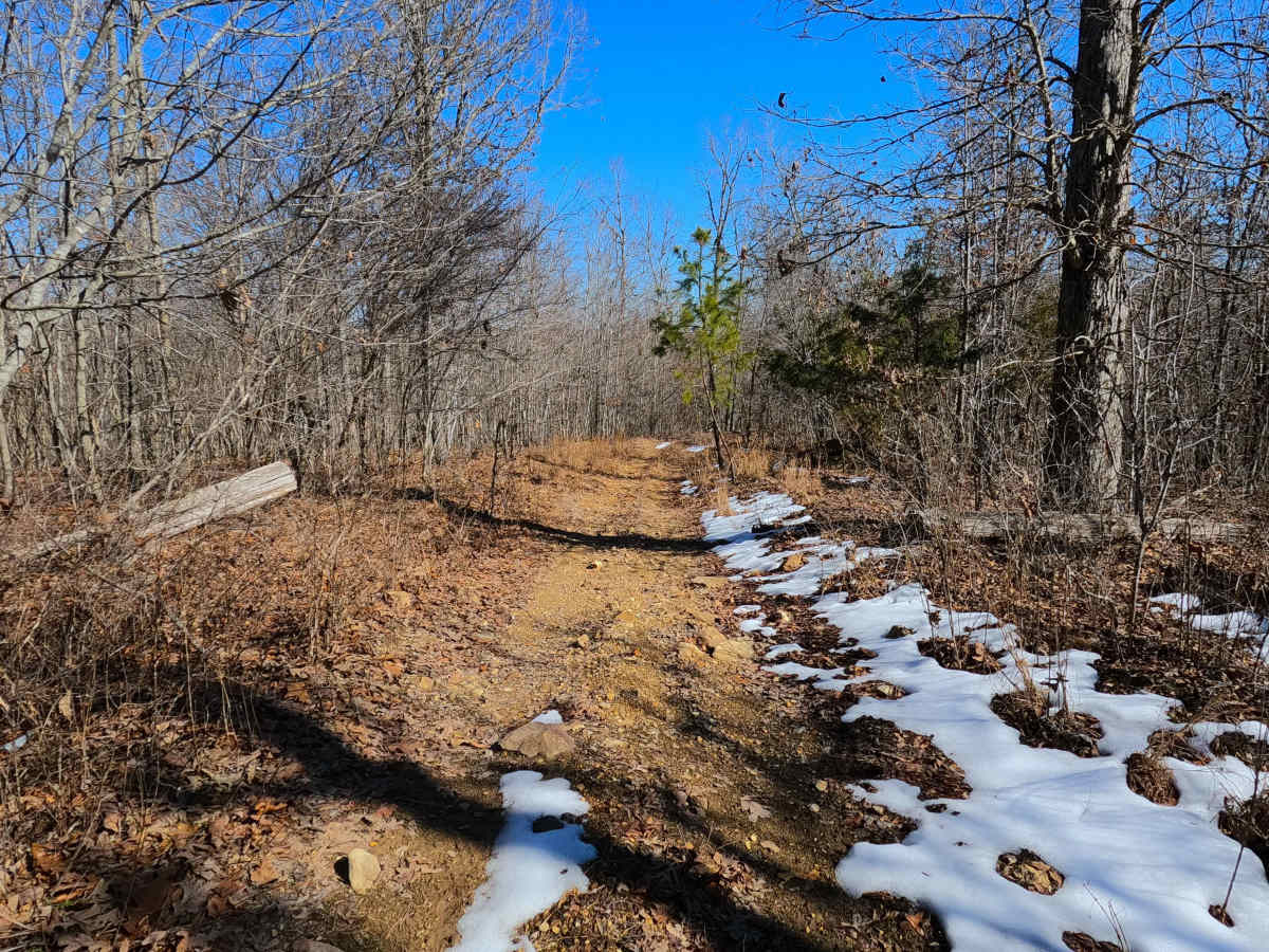 Buzzard Ridge Spur A - FS 2677A photo 6