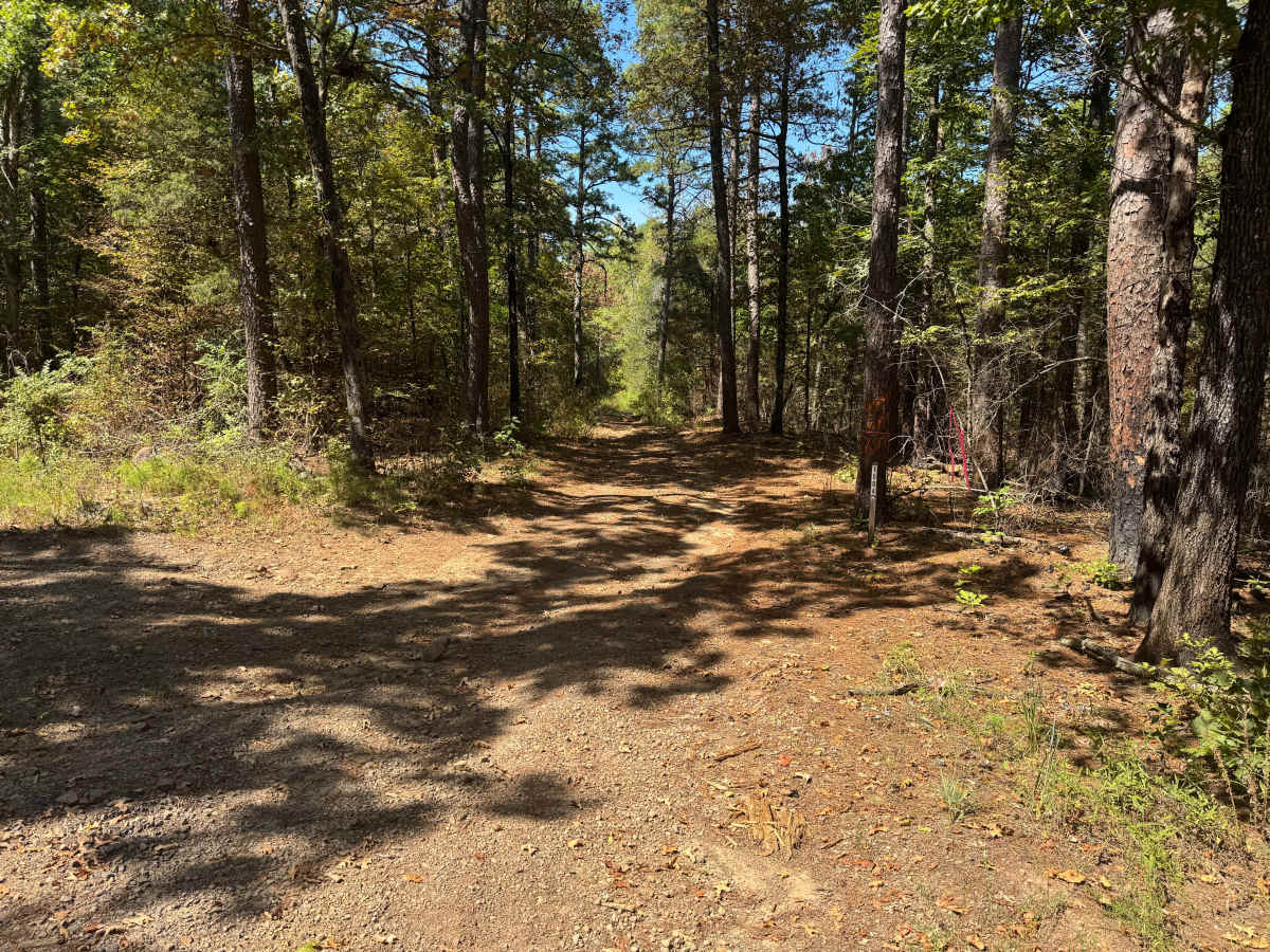 McReynolds Cemetery Road trail photo