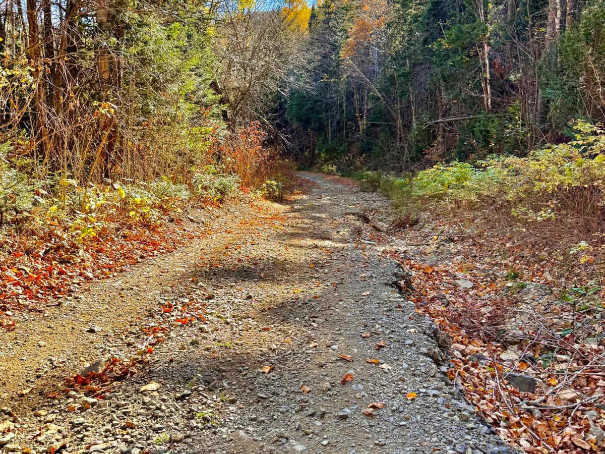 Upper Nine Mile Pool Access trail photo