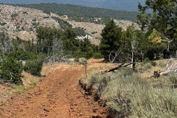 Cedar Mountain East