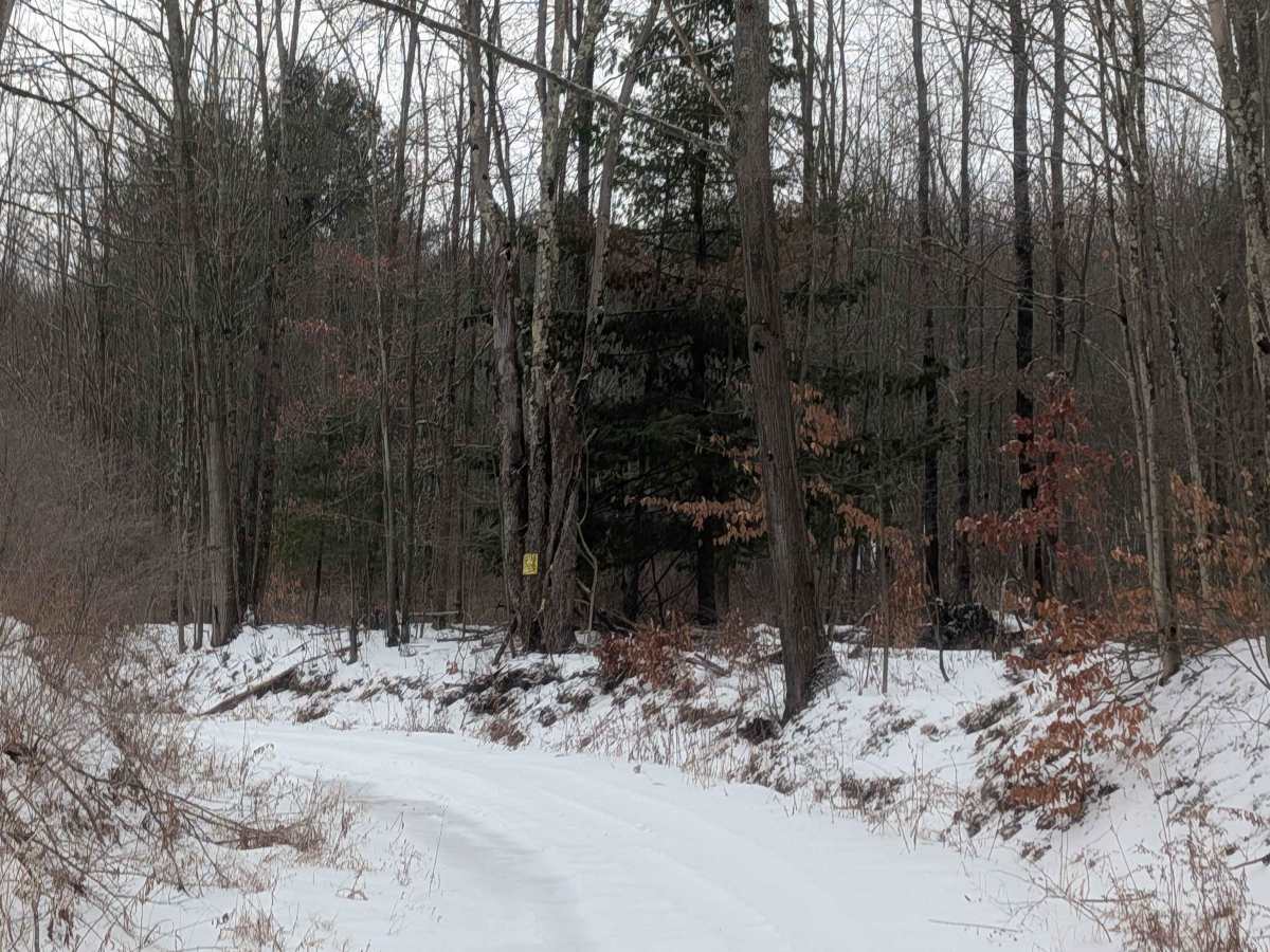 Hakes Road photo 5