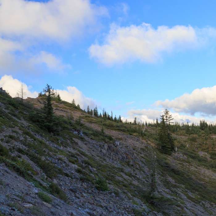 Near Bachelor Mountain