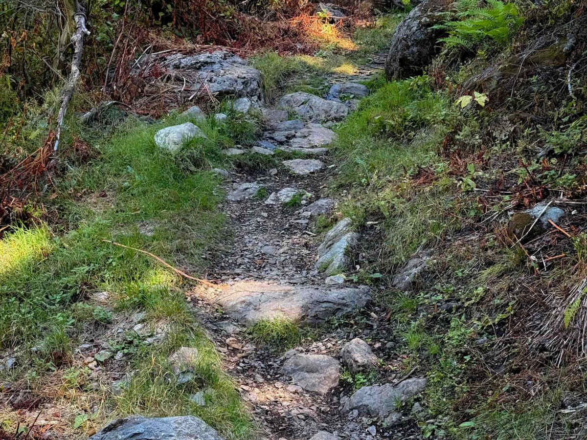 Pauley Creek  trail photo