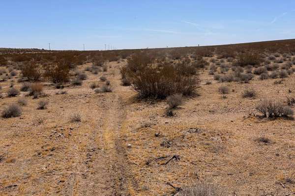 Burro Flats