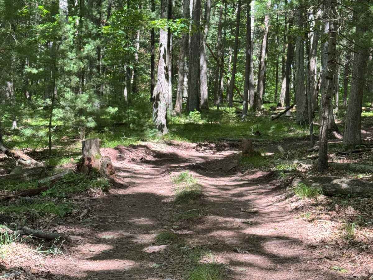 Bail-Out Trail photo 5