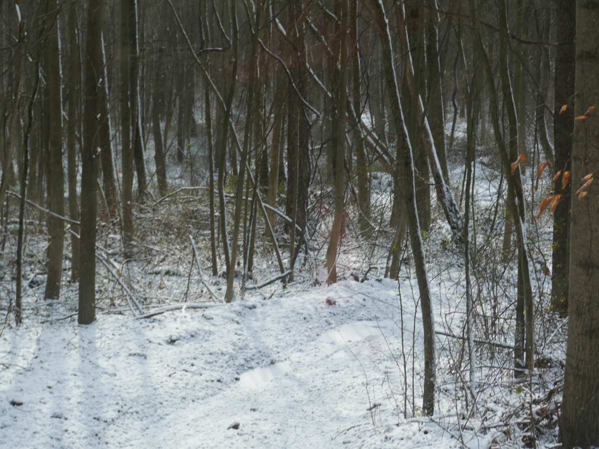 Trail 17 Upper photo 4