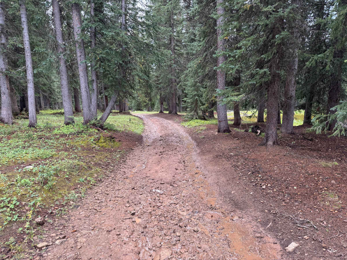 Dillons Cabin B Road photo 3