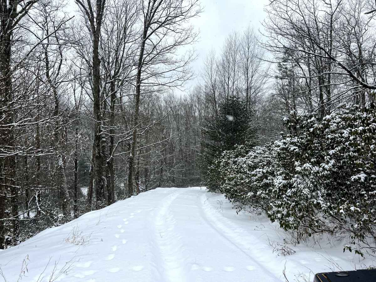 Mill Run Trail photo 6