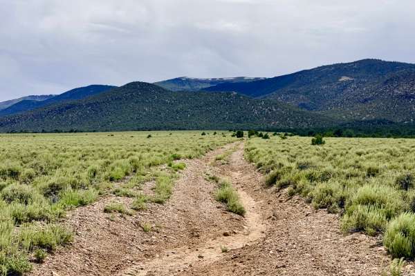 Danville Canyon Cutoff - FS 44467