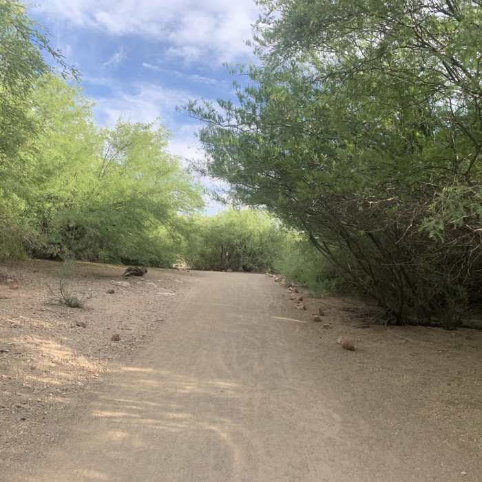 Near 5K Fitness Trail