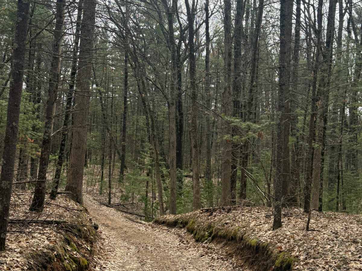 FS 8492 trail photo