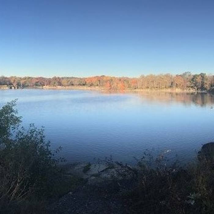 Autumn Near Green Trail - Lake Loop