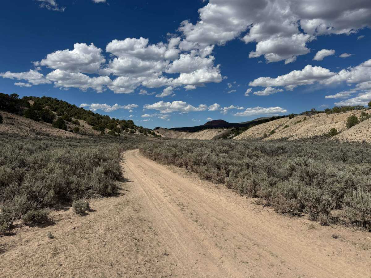 BLM 8461 photo 2