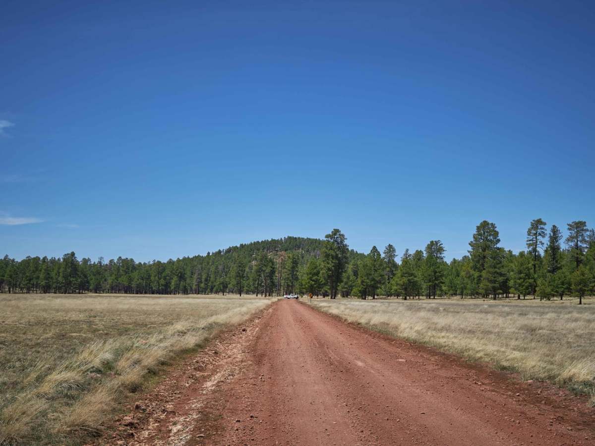 Sheep Springs Road photo 4