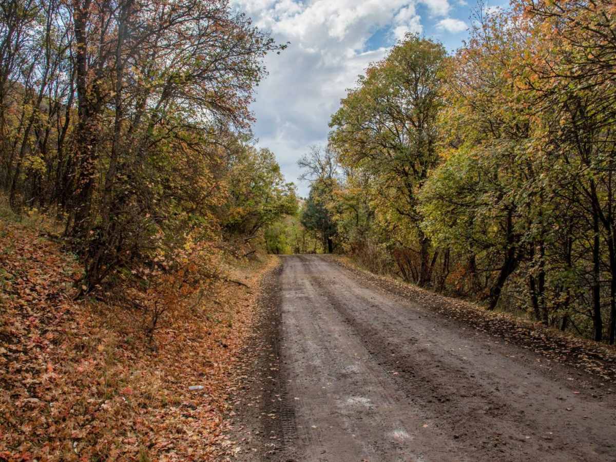 Liberty Avon Road photo 2