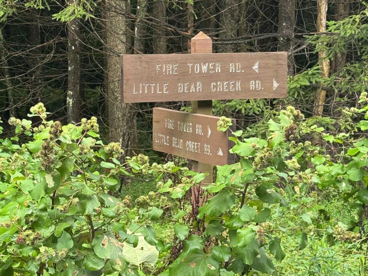 Fire Tower Road photo 3