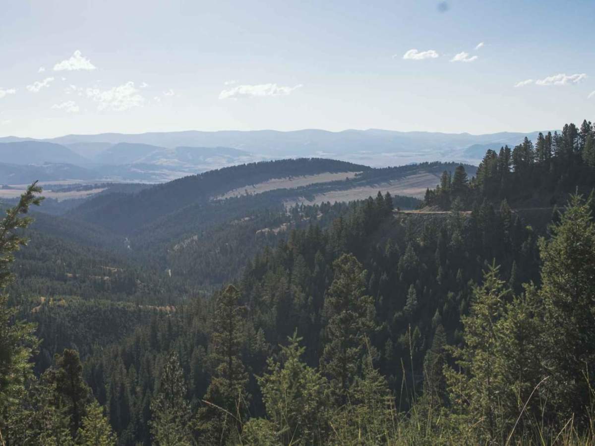 North Fork Gold Creek trail photo