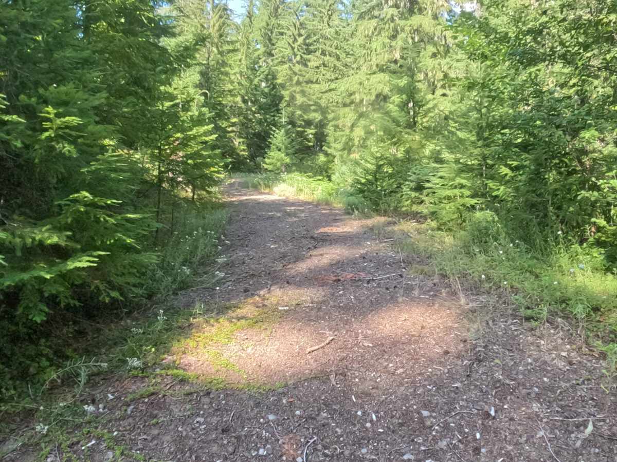 Parish Lake Road - FS 2266000 photo 3