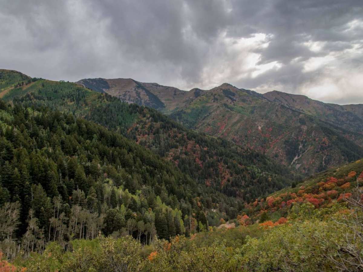 Butterfield Canyon photo 5