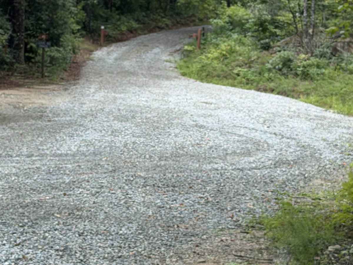 Marks Mountain - FS 451 trail photo