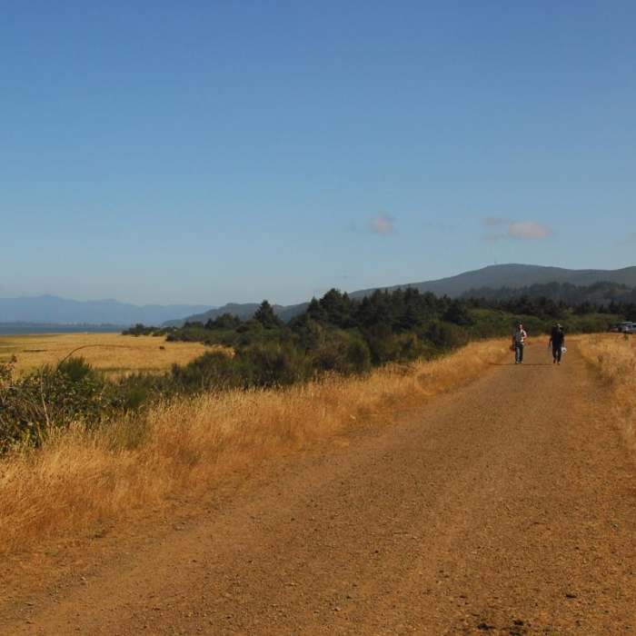 Near Bayocean Peninsula