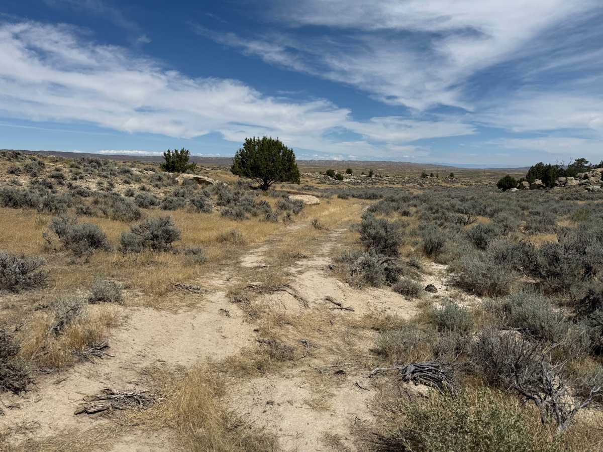 Charlie Trail photo 2