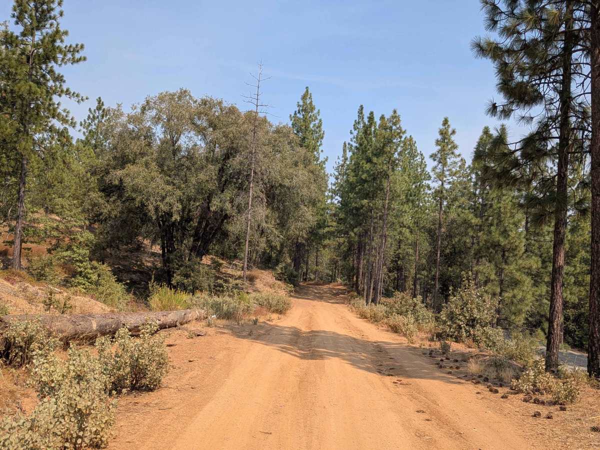 Wagner Ridge Road - FS 2S08 photo 5