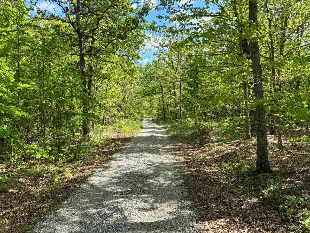 Hamilton Ridge photo 3