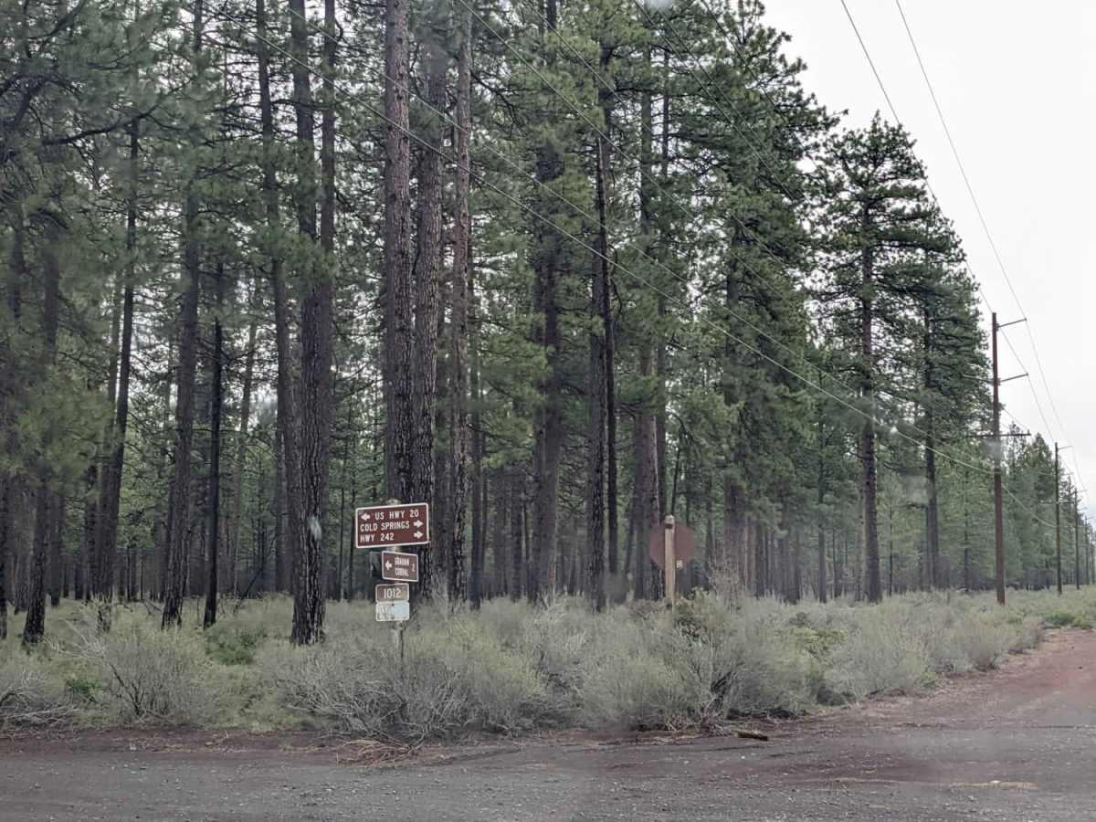 Black Butte Backdoor - NF1012-500 photo 3