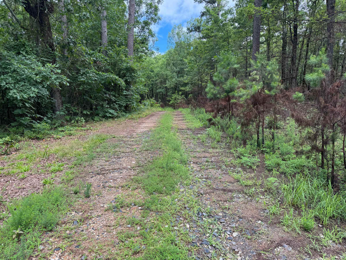 Mullins Loop photo 3
