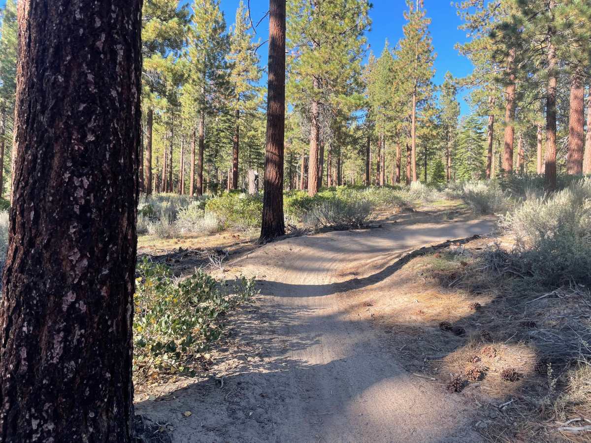 Lower Kingsbury Stinger Alternate - FS 18E46 trail photo