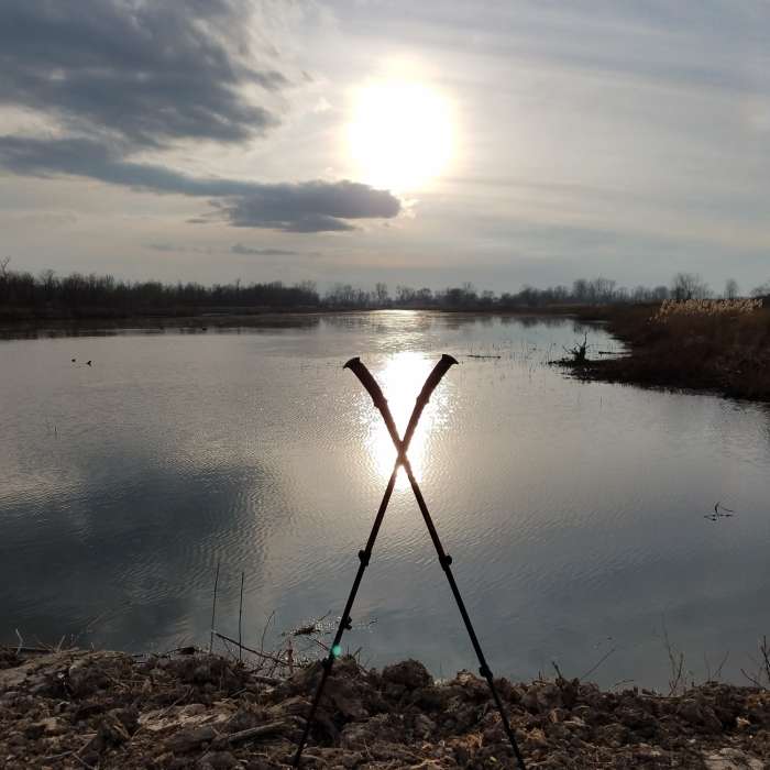 Near Toussaint Wildlife Area