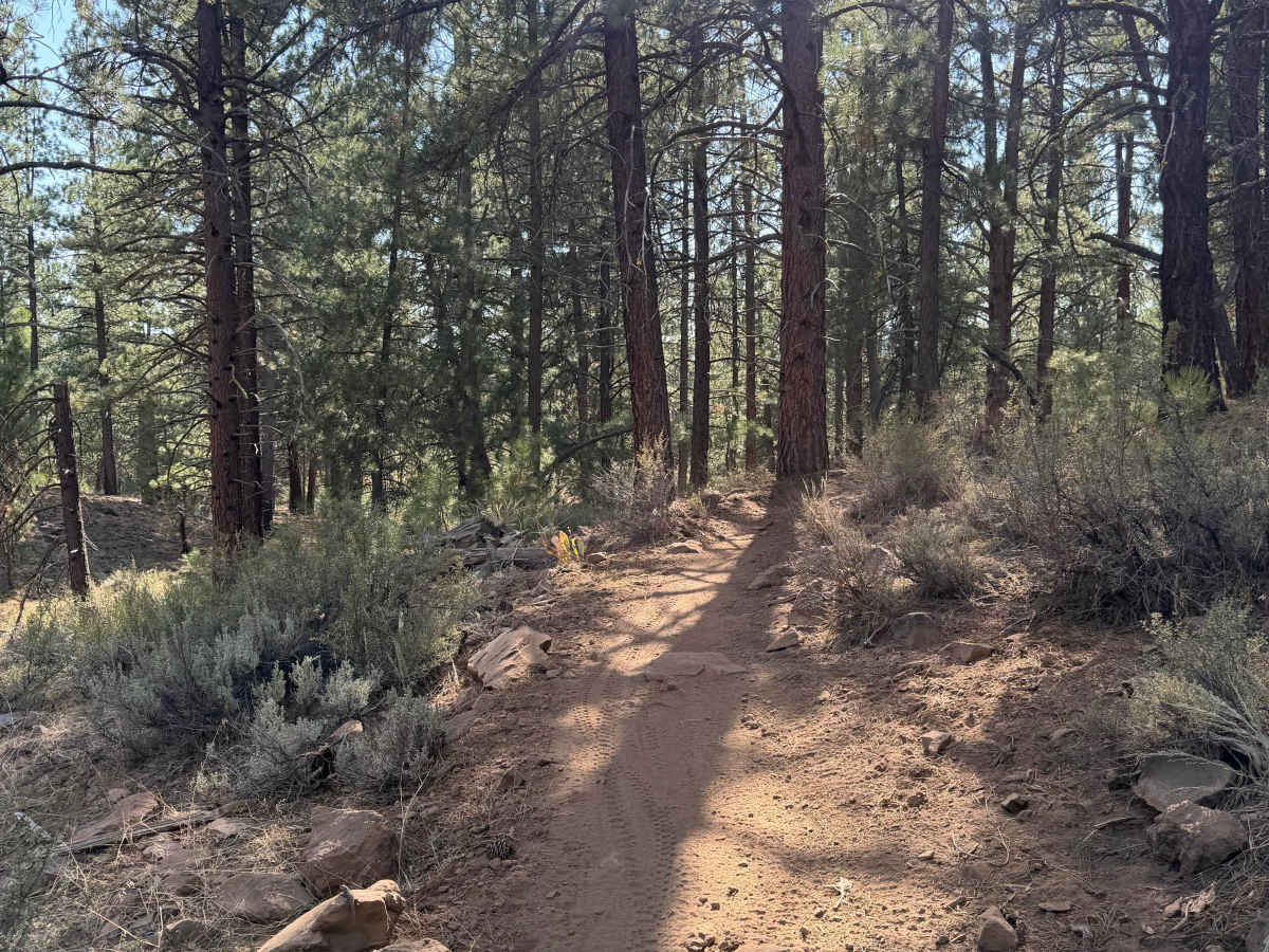 Beer Run Trail Lower photo 4