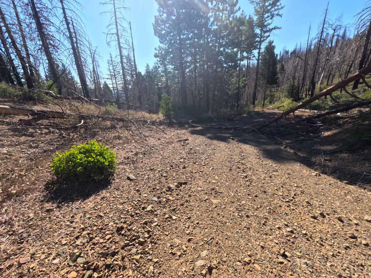 East Government Creek - FS 23N27 photo 5